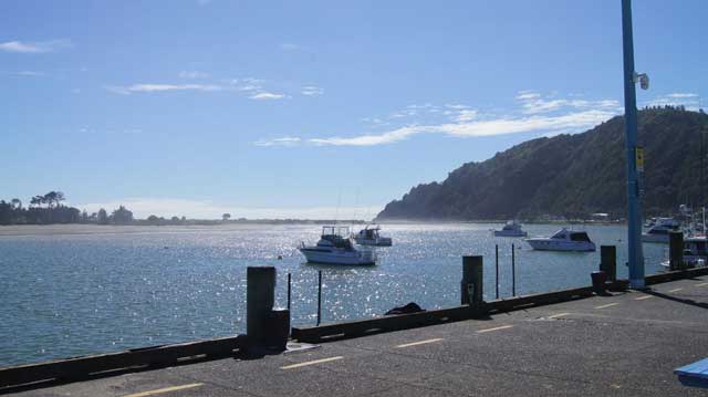 Iceman Whakatane Bait Freezers